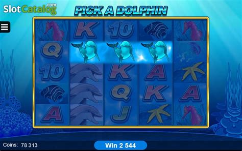 dolphin coast bonuses|Dolphin Coast Review (2024) .